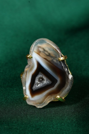 Polished Agatized Fossil Slice Stone Ring