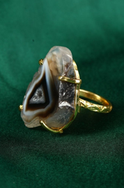 Polished Agatized Fossil Slice Stone Ring