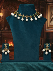 Gold Toned & White CZ Crystal & Pearl Embellished Choker Necklace