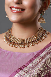 Royal Antique Peacock Choker Necklace Set